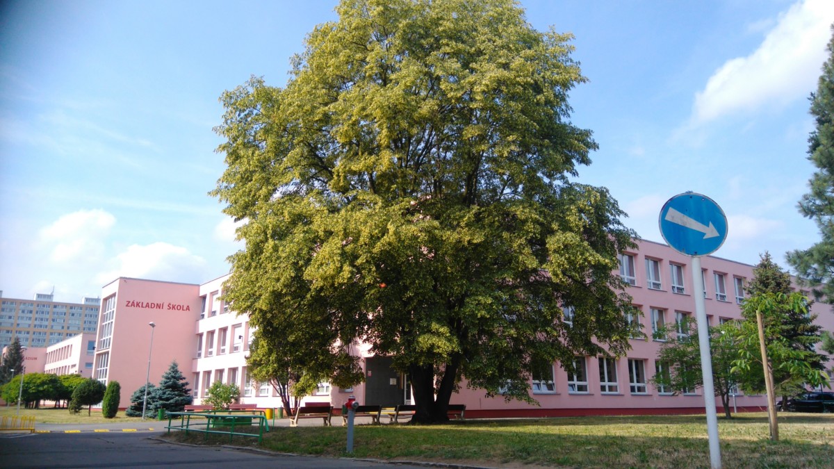 Zápis do 1. tříd